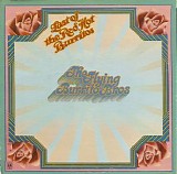 The Flying Burrito Bros - The Last Of The Red Hot Burritos