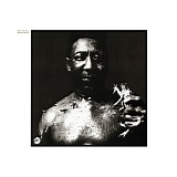 Muddy Waters - After the Rain