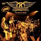 Aerosmith - You Gotta Move