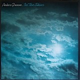 Peter Green - In The Skies