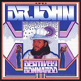 Dr. John - Desitively Bonnaroo