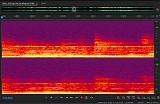 Pink Floyd - Paris 1977 3rd Night - FM Broadcast
