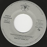 Razzy Bailey - Fragile (Handle With Care)/Fragile (Handle With Care) (Canada)