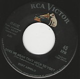 Eddy Arnold - Does He Mean That Much To You?/Tender Touch (US)
