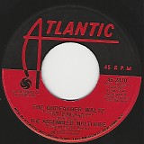 The Assembled Multitude - The Godfather Waltz/Mac Arthur Park (US)