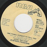 Aztec Two-Step - One Thing I Forgot To Tell You/One Thing I Forgot To Tell You (US Promo)