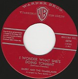 Barry and The Tamerlanes - I Wonder What She's Doing Tonight/Don't Go (Canada)