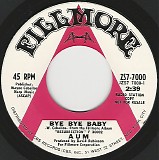 Aum - Bye Bye Baby/Resurrection (US Promo)