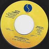 Aztec Camera - Deep & Wide & Tall/Deep & Wide & Tall (US Promo)