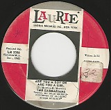 The Barbarians - Are You A Boy Or Are You A Girl/Take It Or Leave It (US)