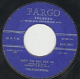 The Aquatones - She's The One For Me/You (US)