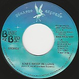 The Bandit Band - Knee Deep In Love/Airwaves Of Love (US)