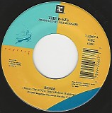 The B-52's - Roam/Bushfire (US)