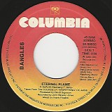 Bangles - Eternal Flame/What I Mean To Say (Canada)