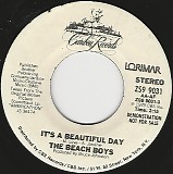 The Beach Boys - It's A Beautiful Day/It's A Beautiful Day (US Promo)
