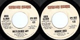 Gregg Allman - Multi-Colored Lady/Midnight Rider (US)