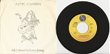 Aztec Camera - All I Need Is Everything/Jump (US Picture sleeve)