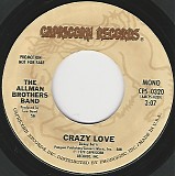 The Allman Brothers Band - Crazy Love/Crazy Love (US Promo)