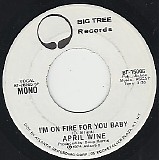 April Wine - I'm On Fire For You Baby/I'm On Fire For You Baby (US Promo)