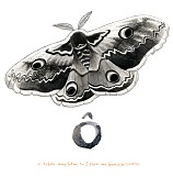 Various artists - Ã”: A Tribute Compilation to Ã” Paon And GeneviÃ¨ve CastrÃ©e