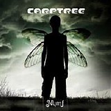 Carptree - Nymf