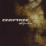 Carptree - Superhero