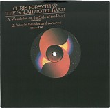 Chris Forsyth & The Solar Motel Band - Woodpiles On The Side Of The Road