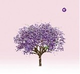 Eels - Tomorrow Morning