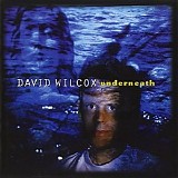 David Wilcox - Underneath