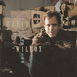 David Wilcox - Big Horizon