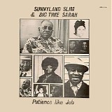 Various artists - Patience Like Job