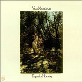 Van Morrison - Tupelo Honey