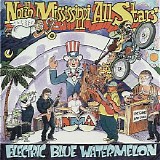 North Mississippi Allstars - Electric Blue Watermelon