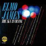 Elmore James - The Sky Is Crying