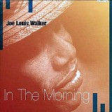 Joe Louis Walker - In The Morning