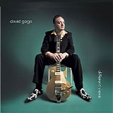 David Gogo - Different Views