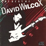 David Wilcox - The Best Of David Wilcox