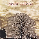Peter Cetera - Another Perfect World