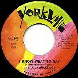 The Ugly Ducklings - I Know What To Say / Epilogue
