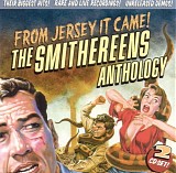 The Smithereens - From Jersey It Came!: The Smithereens Anthology