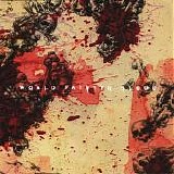 Slayer - World Painted Blood