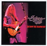 John Sykes - Out Of My Tree In Japan (Live Osaka, Japan)