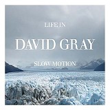 David Gray - Life in Slow Motion