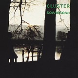 Cluster - Sowiesoso
