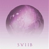 School Of Seven Bells - SVIIB