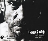 Iggy Pop - Little Know It All