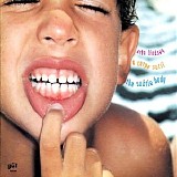 Arto Lindsay - Subtle Body