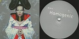 BjÃ¶rk - Homogenic (Germany)