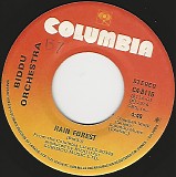 Biddu Orchestra - Rain Forest/Hot-Ice (Canada)