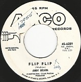 Andy Belvin - Flip Flip/Travelin' Mood (US)